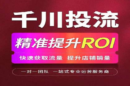 信息流广告精准投放：成功案例展示